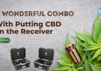 A Wonderful Combo With Putting CBD on the Receiver